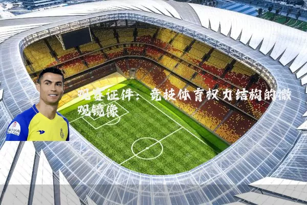 观赛证件:竞技体育权力结构的微观镜像
